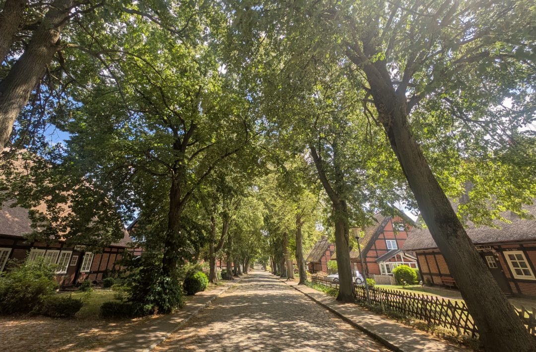 Idyllische Allee mit Backstein-Fachwerkhäusern