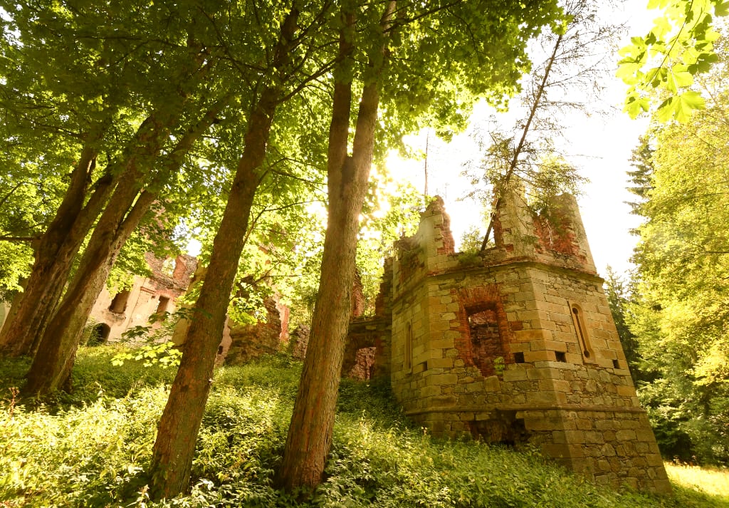Ruinen im Wald bei Tachov in Tschechien