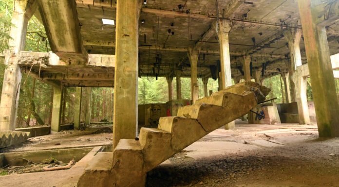 Verschwundene Orte, verschwundene Menschen: Lost Places in Westböhmen Treppe führt in einem Lost Place ins Leere