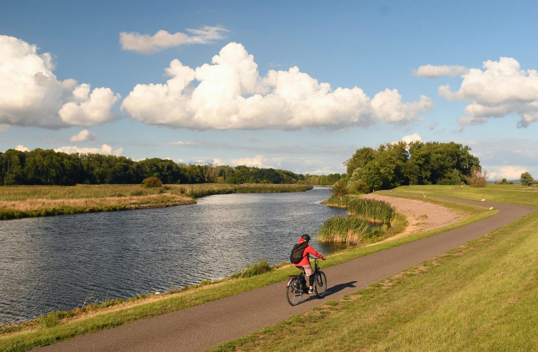 Frau fährt Rad auf einem Radweg am Fluss