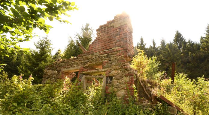 Bügellohe im Oberpfälzer Wald: Das verlassene Dorf der Sudetendeutschen Backsteinruinen im Wald Bügellohe