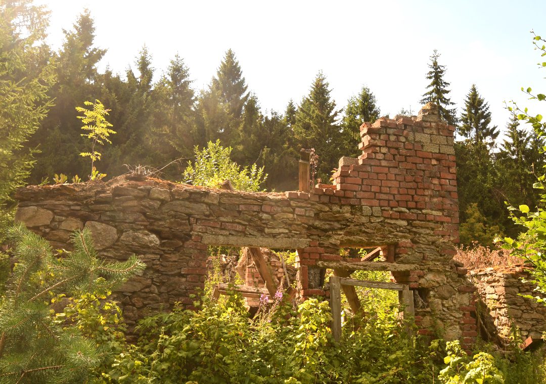 Ruinen auf einer Waldlichtung in Bügellohe
