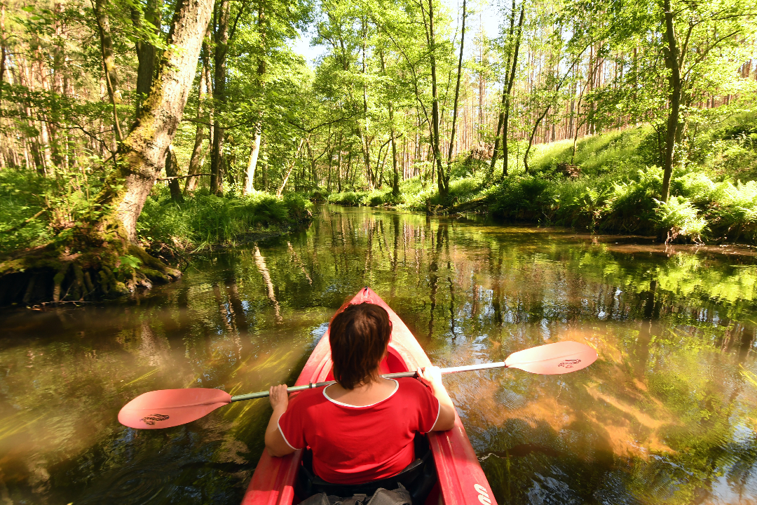 Frau sitzt mit rotem T-Shirt in einem roten Paddelboot