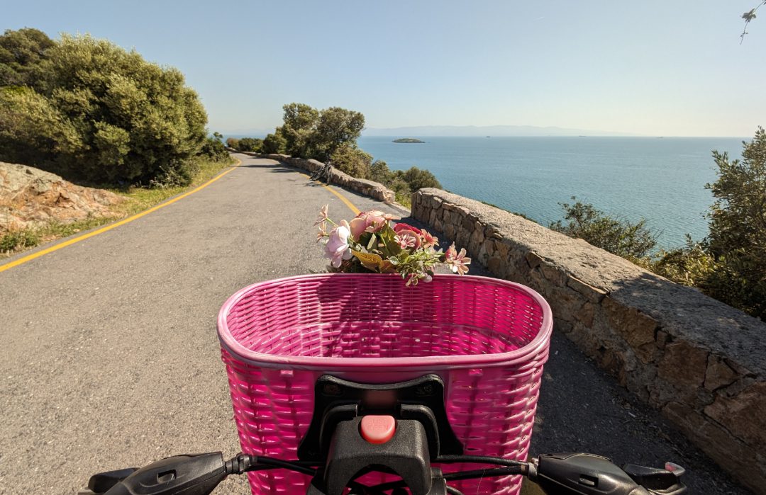 Rosafarbener Fahrradkorb und Straße am Meer