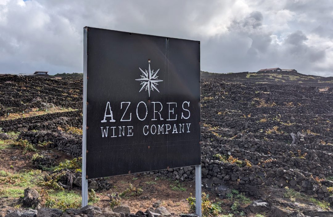 Schild Azores Wine Company