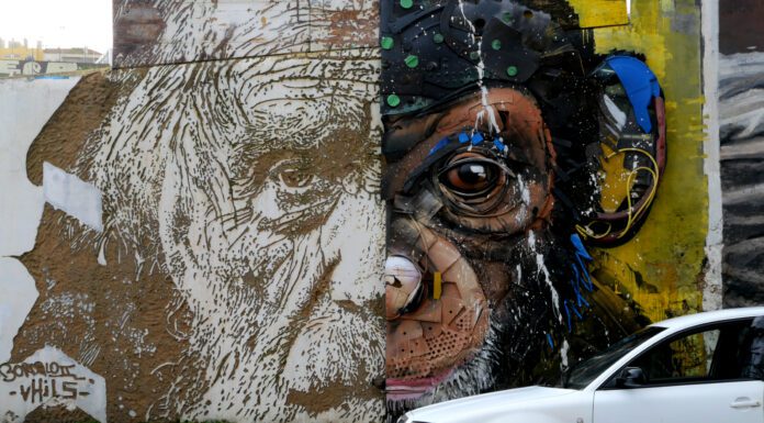 Lissabons schönste Murals: Auf der Suche nach Bordalo II, Vhils & Co (mit Karte)