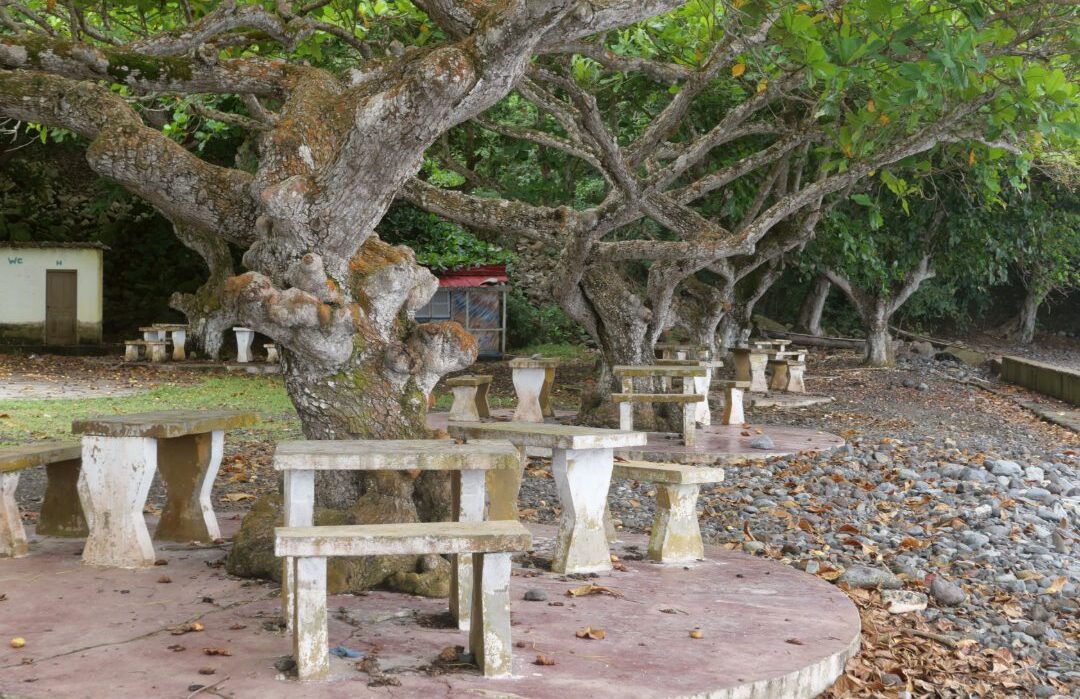 Verwahrloster Picknickplatz
