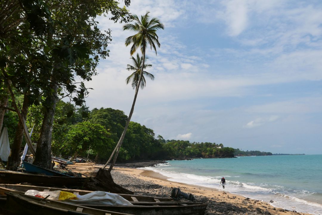 Fischerstrand mit Palmen