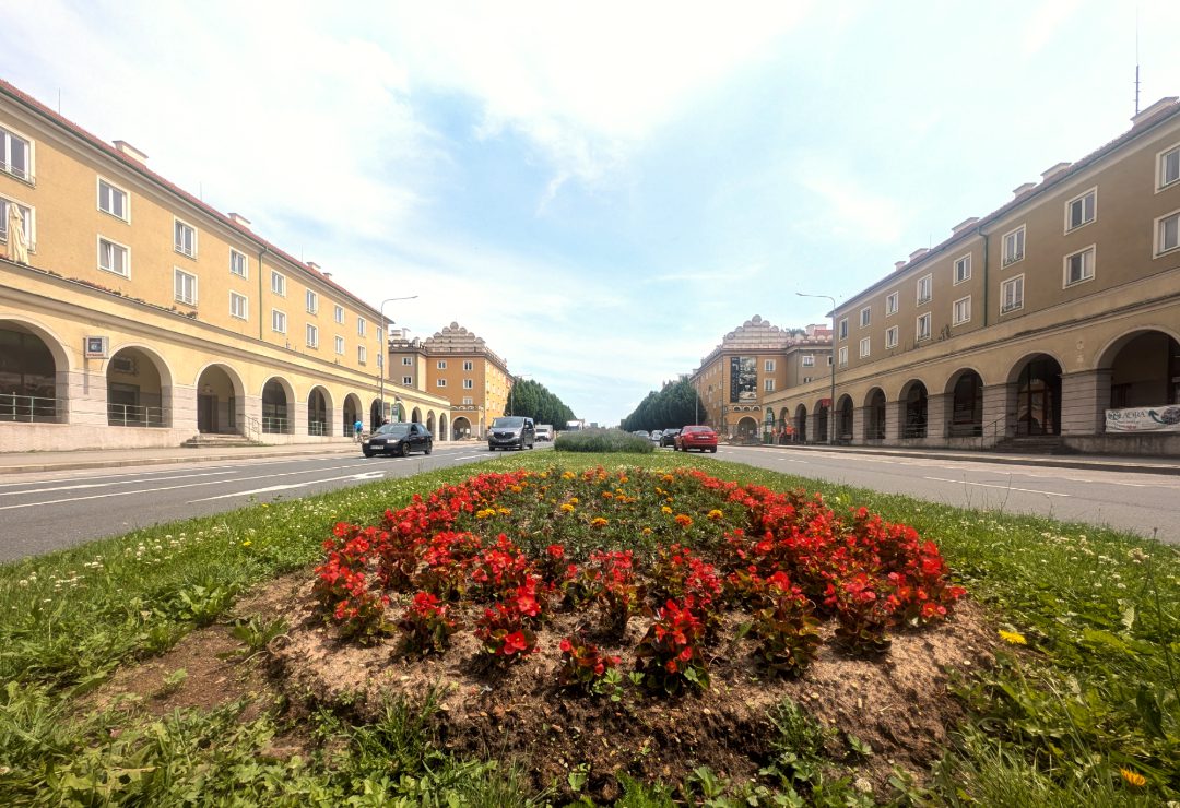 Breite leere Straße mit Blumenrabatten in der Mitte