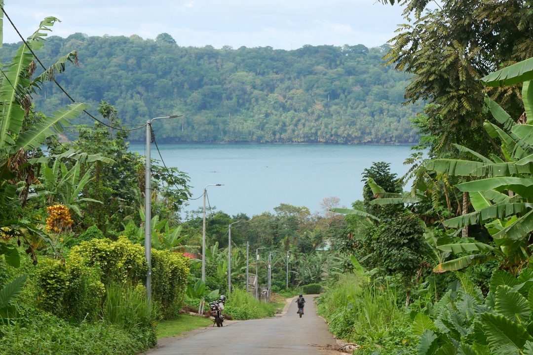 Pflasterstraße in herrlicher Tropenlandschaft