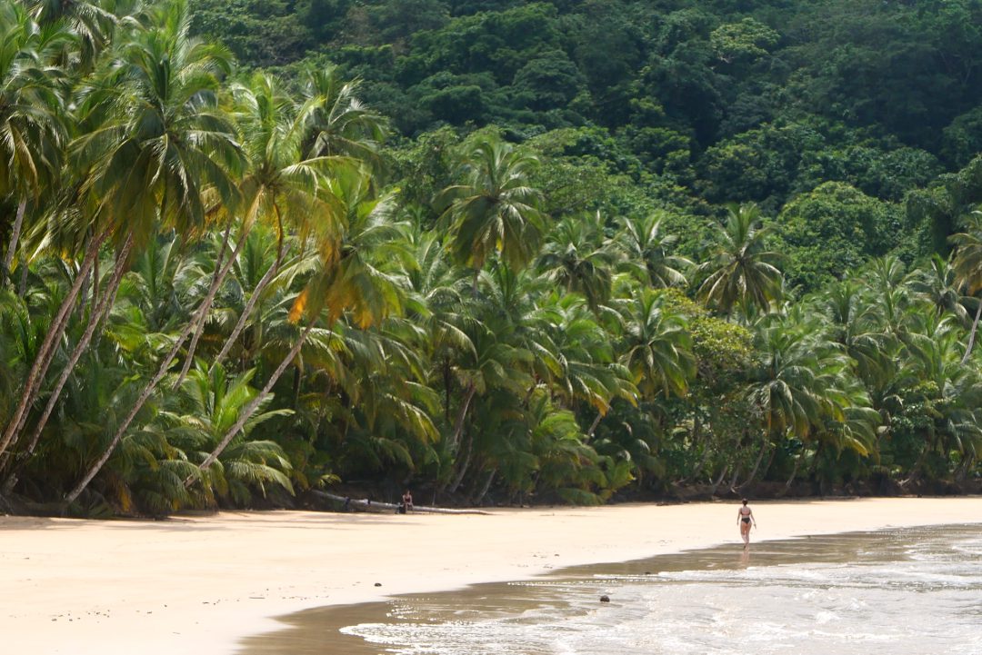 Frau läuft einsamen Palmenstrand entlang