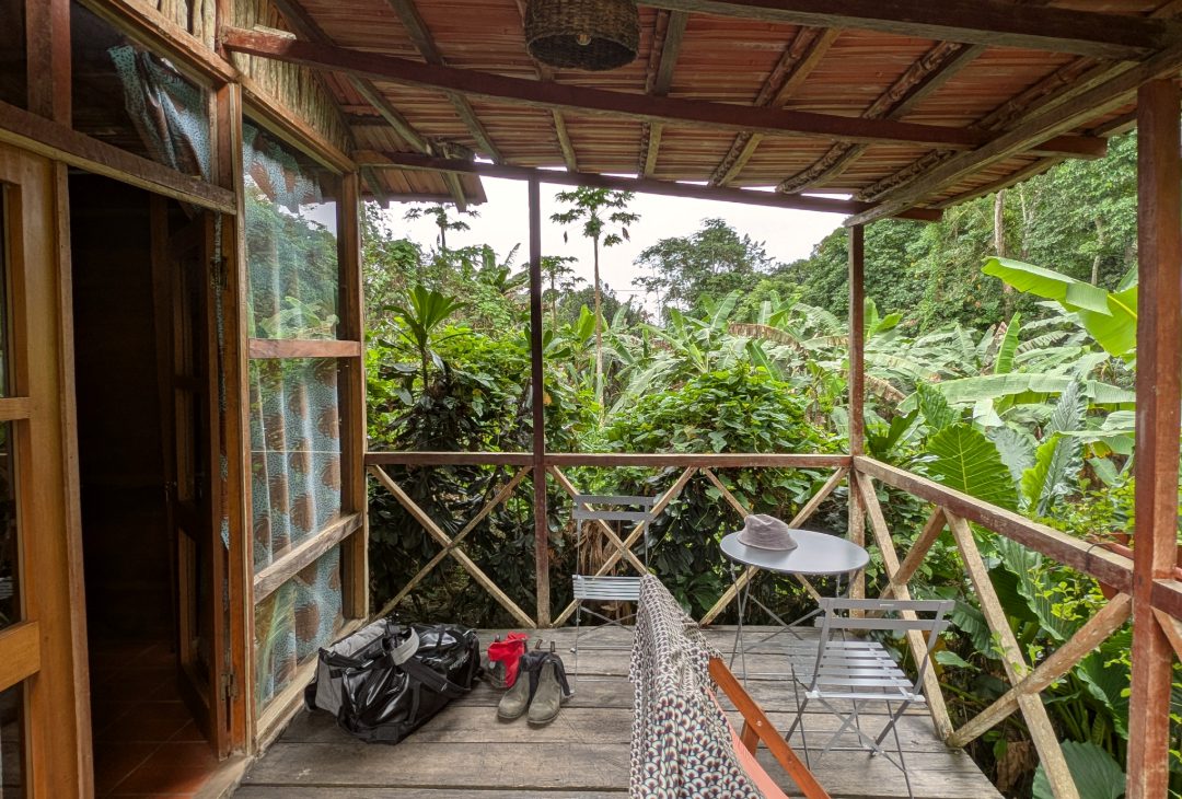 Terrasse einer Ferienunterkunft im grünen tropischen Garten