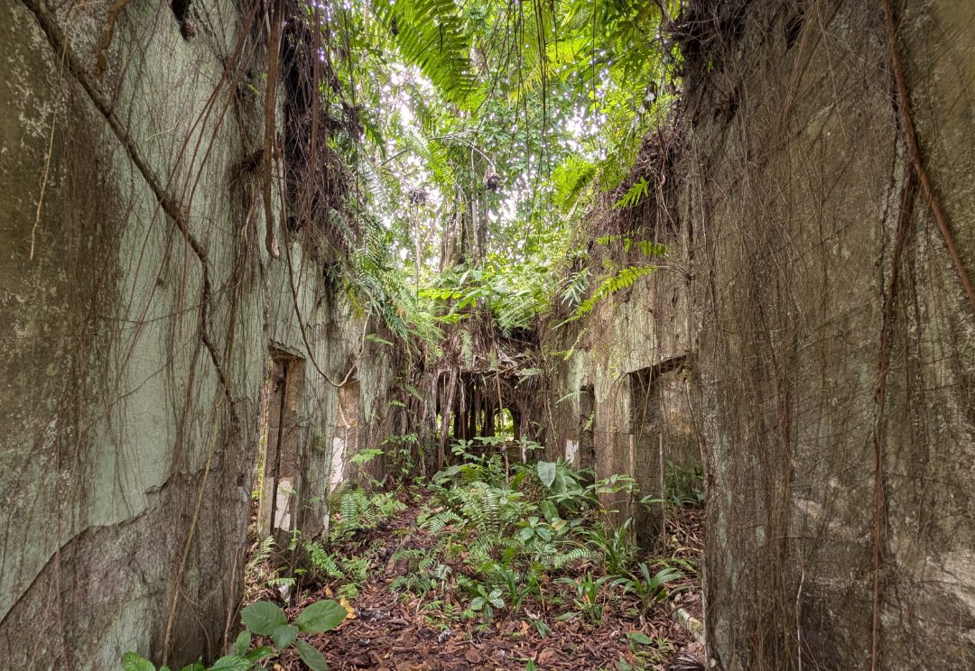 Überwachsene Ruine im Dschungel