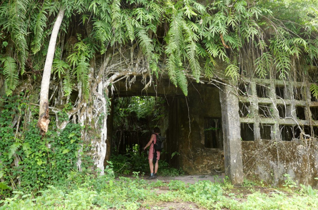 Überwucherte Ruine im Dschungel